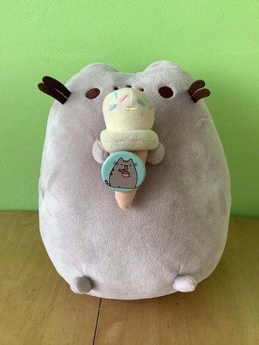Pusheen with ice - pusheen, and