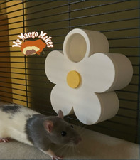 Flower Rat Foraging Wheel, Rat