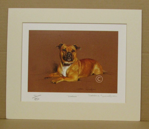 Staffordshire bull terrier - staffordshire,