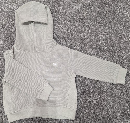Boys dkny pullover grey hoodie - pullover,