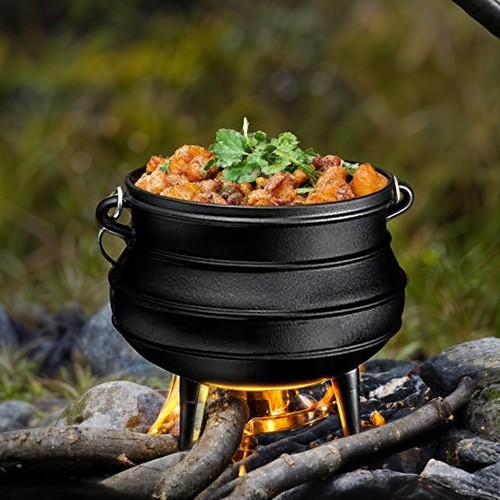 Cast iron potjie stew - potjie, pot