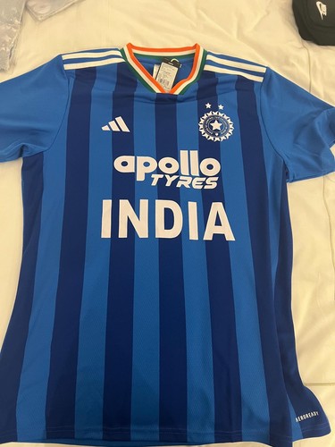 India fan cricket - fan,