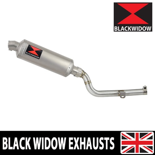 Crf300 rally exhaust - crf300, l