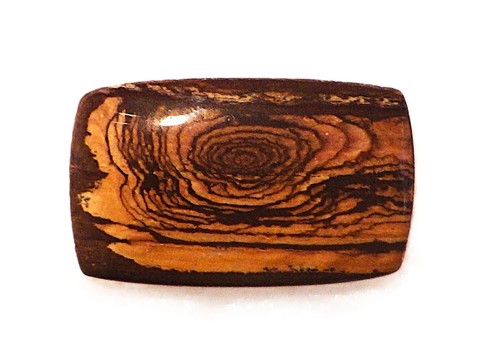 Fossil wood - , (opalised)