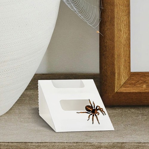 Set spider glue traps - of,