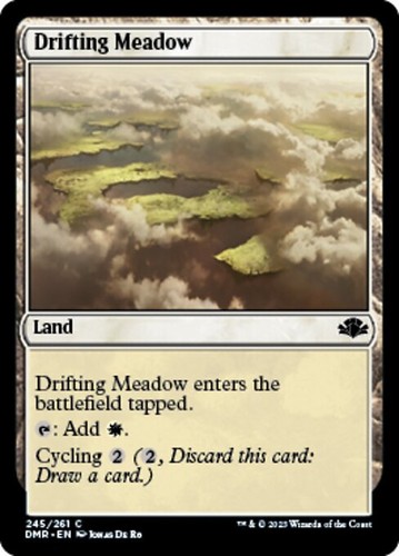 Drifting meadow mtg m - meadow,