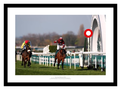 Tiger roll wins - tiger,