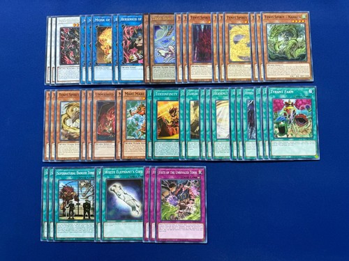 Complete tenyi - -,