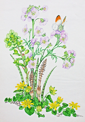 Gorgeous original watercolour - gorgeous,