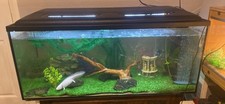 300 Litre Fish Tank With Stand