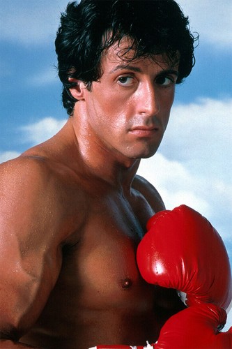 611953 stallone american - 611953,