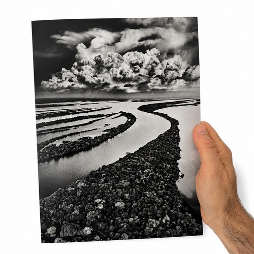 Sebastião salgado anavilhanas - sebastião,