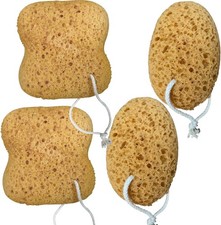 4-Pack Sea Sponge Set for Bath