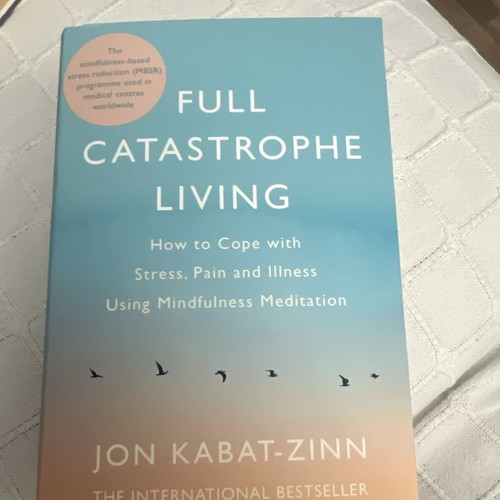 Full catastrophe living - catastrophe,