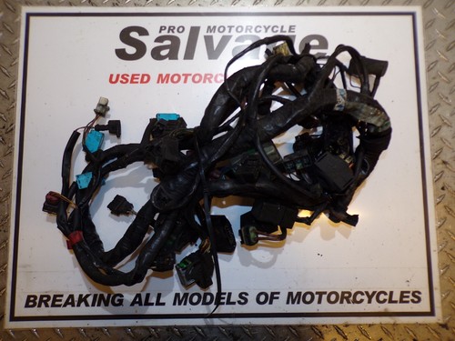 Triumph tiger 955i 2003 - 955i, 2004