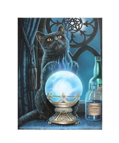 Witches apprentice lisa parker - lisa,