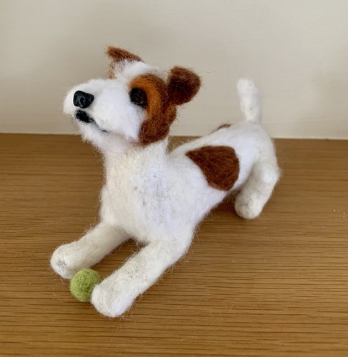Parson jack russell terrier - russell,