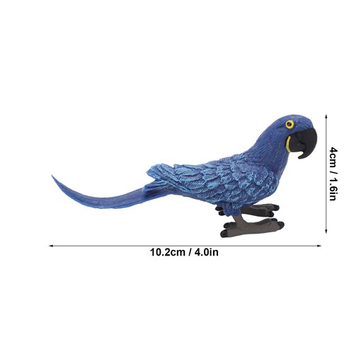 Blue macaw model real - blue,
