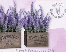 Artificial Life Like Lavender