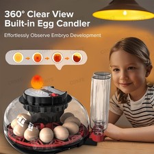 12 Egg Incubator for Hatching