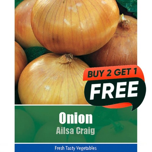 Vegetable seeds onion - vegetable,