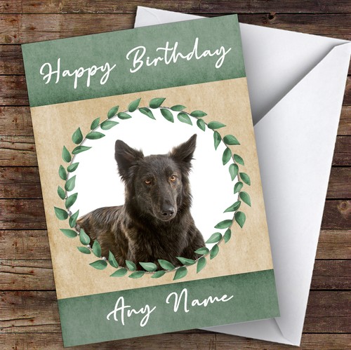Dutch shepherd dog green - dutch,