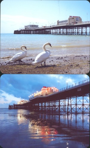 Worthing pier local - worthing,