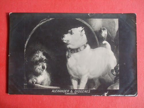 1906 wildt kray - kray, comic