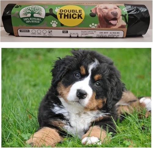 Dog poo bags - dog,