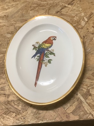 Sandringham fine english bone - ,