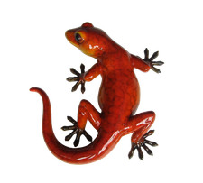 Vivid Arts - Glossy Gecko