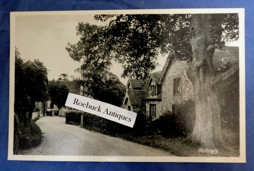 Vintage postcard hellingly - vintage,