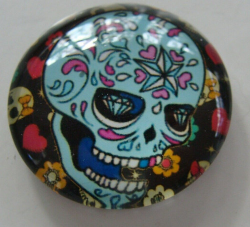 New colorful skull - colorful, 1”