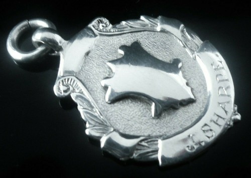 Sterling silver pocket watch - sterling,