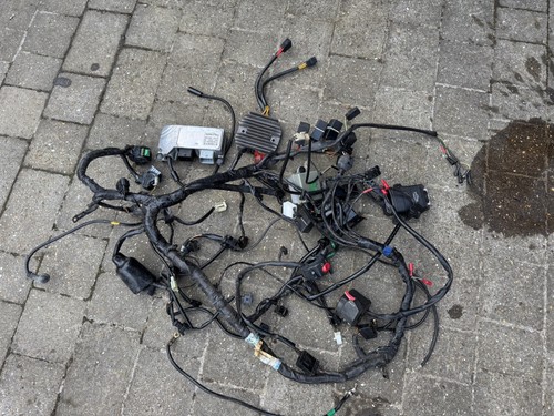 Wiring loom switches alarm - loom,