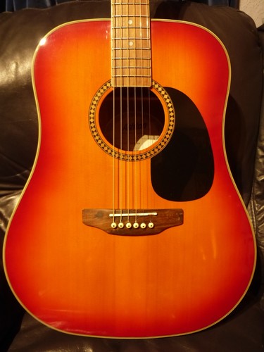 Ashton acoustic guitar with - acoustic,