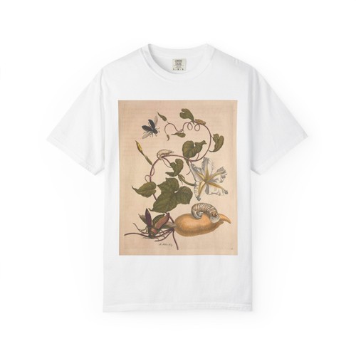 Botanical insect beetle - botanical,
