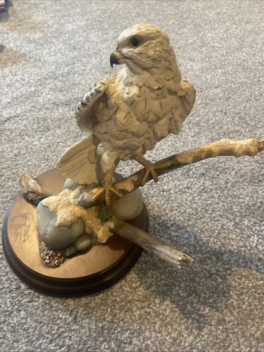 Vintage gyr falcon with - vintage, fern