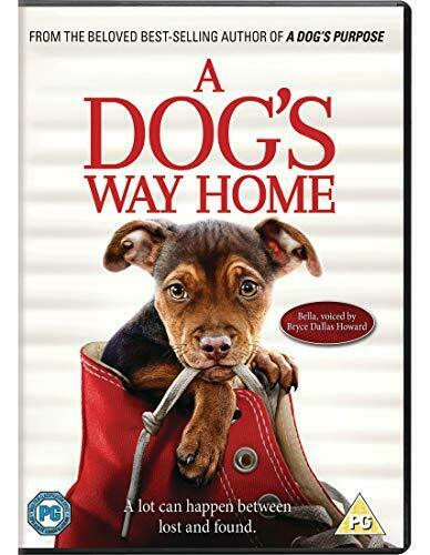 Dog way home - dog's,
