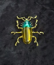 Gold Tone Beetle Rhinestone