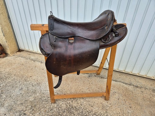 French military horse - military,