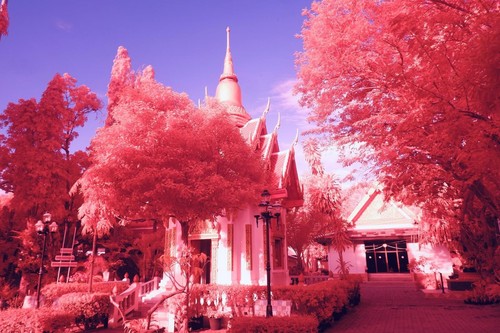 Aerochrome infrared filter - aerochrome,