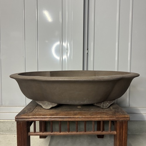 Large vintage japanese bonsai - large,