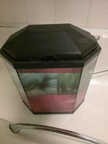 Fish tank aquarium - fish,