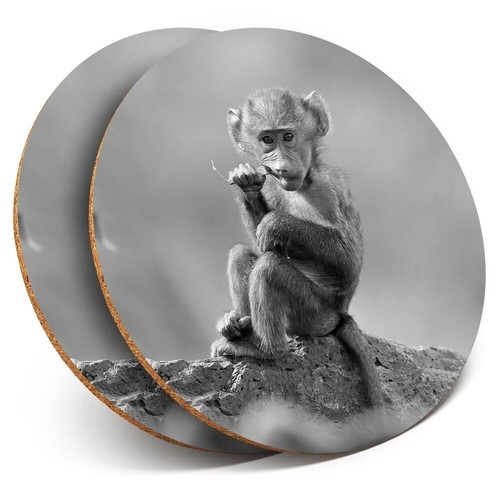 Coasters baby baboon - x,