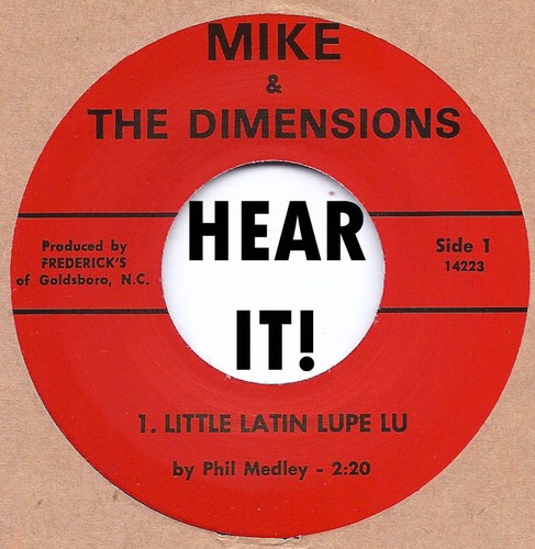 Garage punk repro mike - garage,