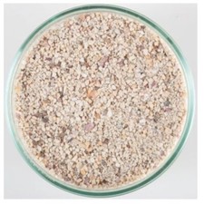 CaribSea Fiji Pink ARAG-ALIVE