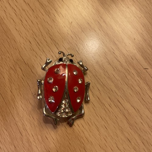 Vintage ladybird brooch - vintage,