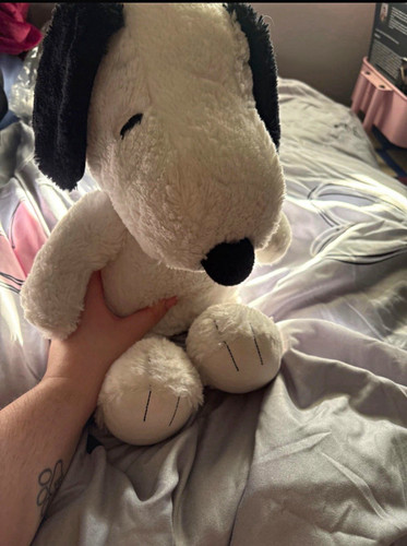 Peanuts snoopy plush stuffed - peanuts,
