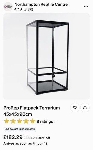 Large glass terrarium - glass,